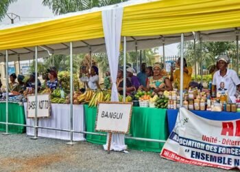 La Centrafrique accueille la 3ᵉ Édition du SANEF avec un engagement pour l&rsquo;entrepreneuriat féminin