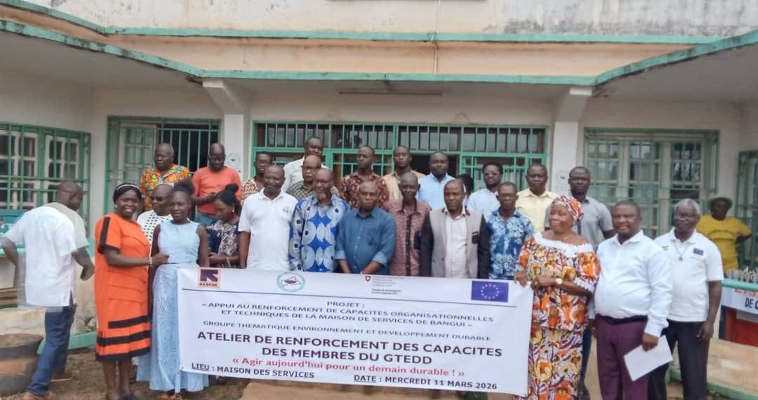 Environnement et développement durable : la société civile centrafricaine renforce la mobilisation contre la déforestation