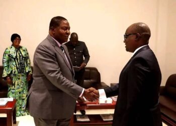 La République centrafricaine mise sur l&rsquo;appui stratégique de l&rsquo;ARC pour gérer les catastrophes.