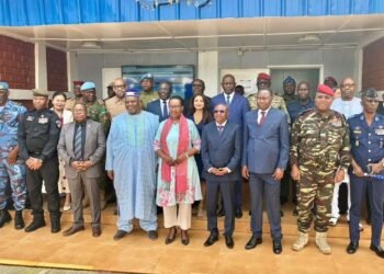 Tenue à Bangui de la 5ème réunion du comité national de sécurisation du processus électoral