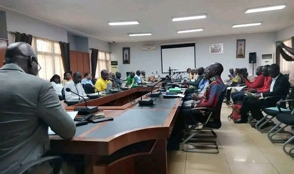 RCA: Ouverture d&rsquo;un atelier sur le diagnostic du système semencier à Bangui