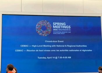 Économie : la CEMAC plaide pour le renforcement du soutien lors des réunions du FMI à Washington