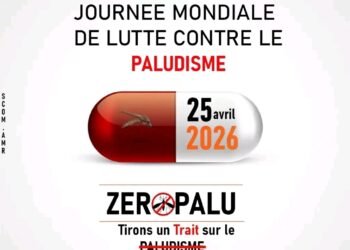 SANTE : le monde célèbre la journée mondiale de lutte contre le paludisme