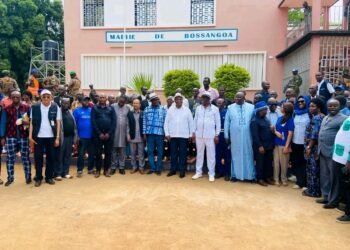 Centrafrique : les autorités multiplient des efforts de stabilisation du pays