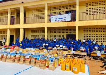 Réintégration des ex-combattants en Centrafrique : un succès pour le programme DDRR et des partenaires russes