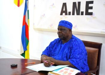 Centrafrique : près de 40 membres des délégations de l’ANE radiés*