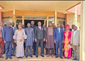 Centrafrique : le gouvernement évalue la performance des entreprises publiques