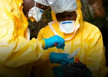 RDC : l’épidémie d’Ebola replonge l’Afrique centrale dans l’alerte sanitaire