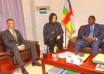 RCA : le renforcement de la coopération économique entre Bangui et Moscou au cœur d’un échange entre le Président Touadera et une délégation russe