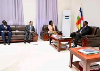 RCA : le gouvernement et l’ONU à pied d’œuvre afin de faire face à la situation humanitaire dans le pays