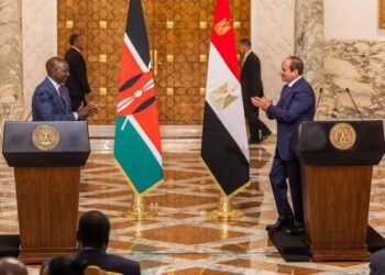 Égypte : Le Caire accélère son offensive diplomatique en Afrique