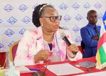 Centrafrique : le gouvernement continue d&rsquo;intensifier les actions en faveur de l&rsquo;insertion professionnelle des jeunes