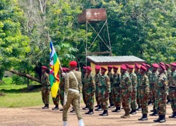 RCA : la 19e promotion des soldats et la 6e promotion des sous-officiers des FACA présentées au drapeau au Centre d’Instruction de Bérengo