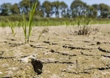 RCA : le pays frappé a plein fouet par les conséquences du réchauffement climatique