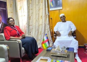 Le ministre de l’urbanisme Hassane Bouba Ali reçoit la maire de Bangui, madame Prisca Mano