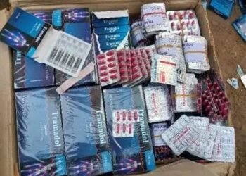 Bangui: plus de 273 millions de FCFA de produits stupéfiants saisis grâce à une opération conjointe des forces de sécurité intérieure et des alliés Russes