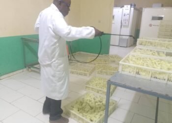 Agroécologie : la CNOPCAF renforce les capacités des organisations paysannes pour transformer les systèmes alimentaires en Centrafrique