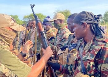RCA : les FDS et leurs alliés russes déterminés à défendre l’intégrité territoriale du pays