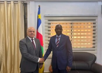 RCA : l’ambassadeur de la Fédération de Russie reçu en audience par le ministre de l’intérieur et de la sécurité publique