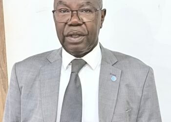 Diplomatie : la présentation des lettres de créance de nouveaux ambassadeurs illustre l&rsquo;intérêt croissant pour la Centrafrique