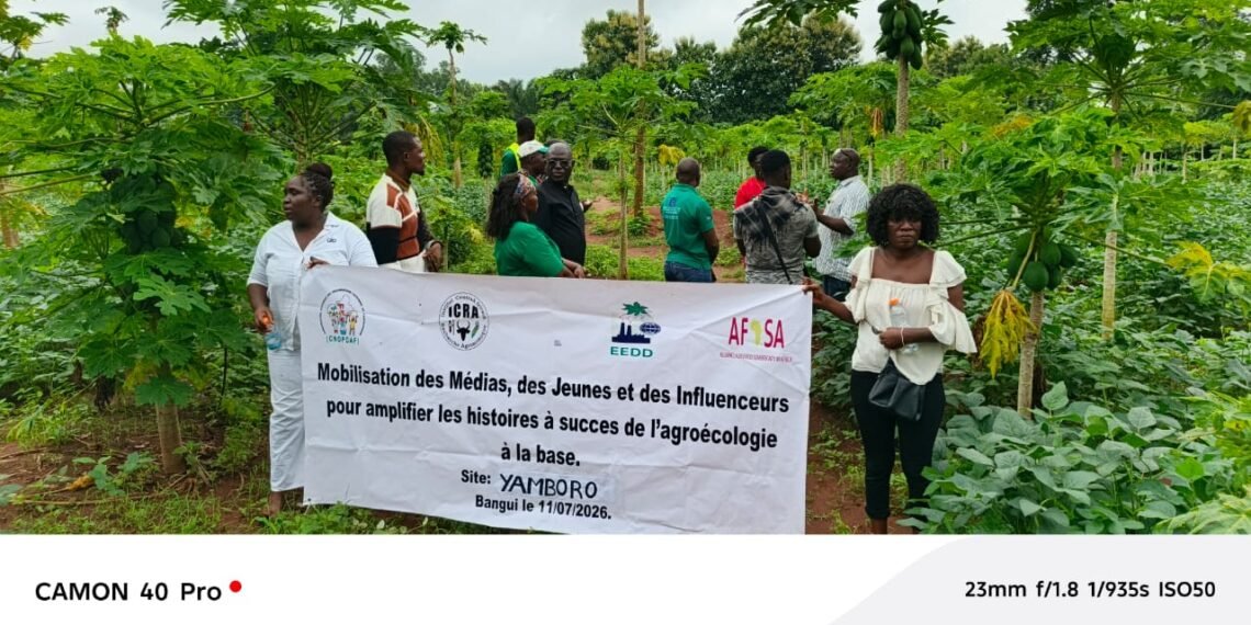 Agroécologie : la CNOPCAF met en lumière des exploitations modèles à Yombo et Yamboro