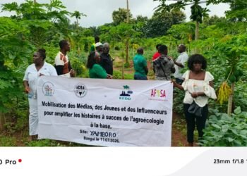 Agroécologie : la CNOPCAF met en lumière des exploitations modèles à Yombo et Yamboro