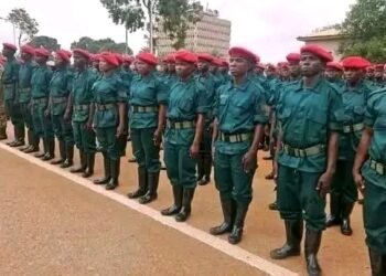 Centrafrique : 566 nouveaux soldats rejoignent les rangs des FACA