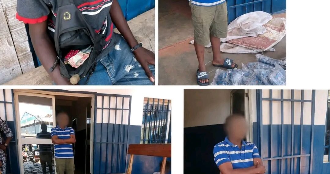 Opération de la FICU à Bangui : saisie importante de produits illégaux