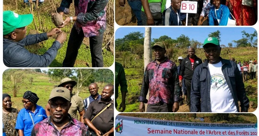 Semaine nationale de l&rsquo;Arbre : le Ministère de l&rsquo;Éducation nationale s&rsquo;engage pour reverdir la colline de Bas Oubangui