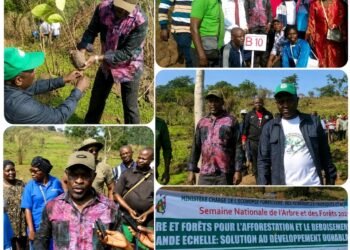 Semaine nationale de l&rsquo;Arbre : le Ministère de l&rsquo;Éducation nationale s&rsquo;engage pour reverdir la colline de Bas Oubangui