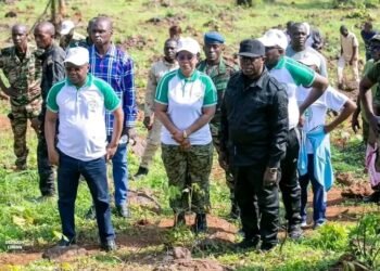 Centrafrique : Claude Rameaux Bireau appelle à faire de chaque arbre planté une promesse de vie