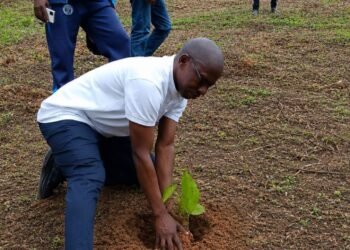 Semaine Nationale de l’Arbre : Ernest MADA Ministre du Secrétariat Général du Gouvernement mise sur le reboisement pour restaurer les écosystèmes