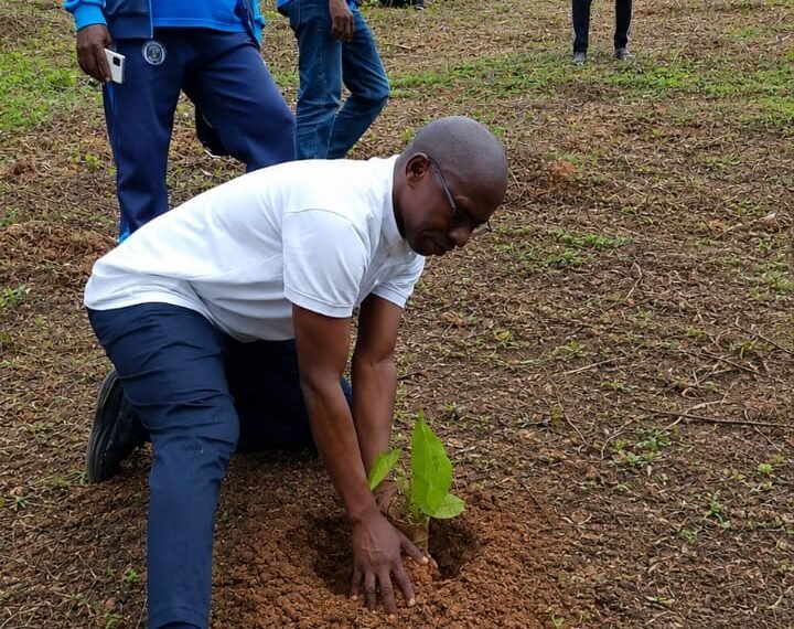 Semaine Nationale de l’Arbre : Ernest MADA Ministre du Secrétariat Général du Gouvernement mise sur le reboisement pour restaurer les écosystèmes