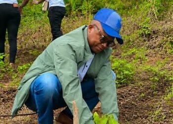 Semaine nationale de l’arbre : l’ICASEES s’engage pour un environnement durable