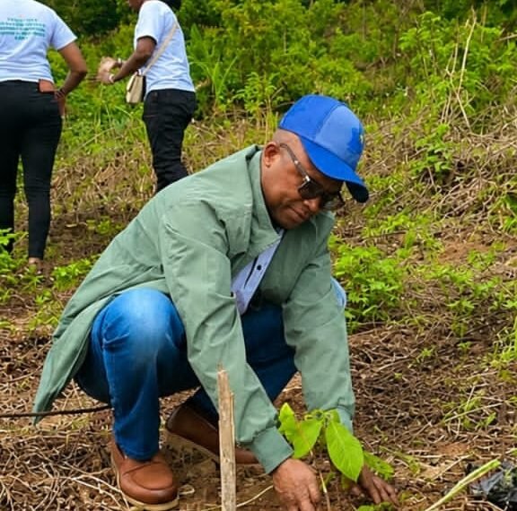 Semaine nationale de l’arbre : l’ICASEES s’engage pour un environnement durable