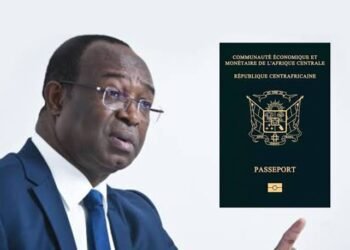 Analyse juridique de l’affaire du passeport de M DOLOGUELE Anicet Georges : Pourquoi le raisonnement de M. AKANDJI KOMBÉ est infondé et incomplet