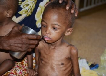 Somalie : la faim revient, entre sécheresse, conflits et recul de l’aide humanitaire