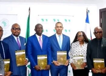 Centrafrique : la BAD appelle à consolider la reprise économique