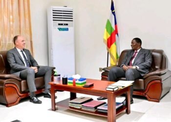 OMS: La Belgique sollicite l&rsquo;appui de la Centrafrique pour la candidature de Hans Kluge