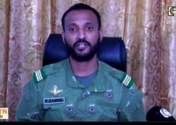 NIGER : un officier de l’armée met en cause plusieurs pays dont la France dans la tentative de déstabilisation des militaires au pouvoir