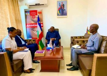 Centrafrique : le gouvernement échange avec la CNUCED et la CEA sur les PME centrafricaines