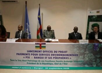 Centrafrique : La CAFI débloque 10 millions de dollars pour améliorer les terres et protéger les forêts