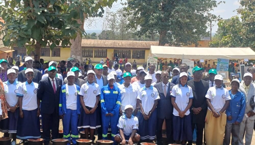 Bangui : le bois et l’énergie au centre des débats sur la protection de l’environnement