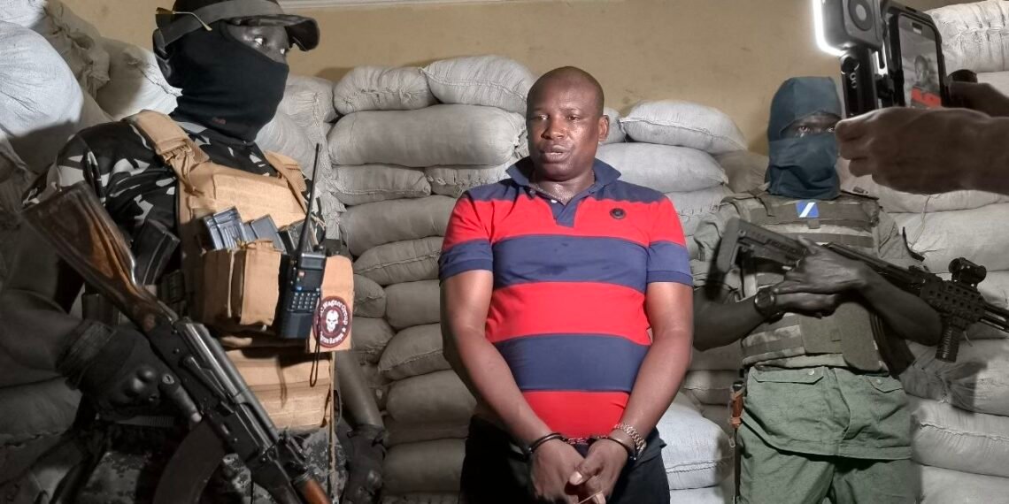 Centrafrique : importante saisie de boissons interdites à Bangui